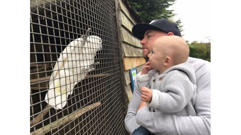An adult veteran, now adjusting to civvy street, holds a baby and gazes at a white cockatoo inside a wire cage.