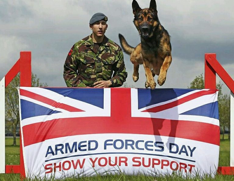 A soldier in camouflage and beret stands proudly next to a German Shepherd as it leaps over an "Armed Forces Day Show Your Support" banner with a Union Jack design, epitomizing the seamless transition from military life to Civvy Street for every dedicated veteran.