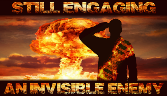 Silhouette of a saluting veteran with a visible sash against an explosion backdrop. Text reads 