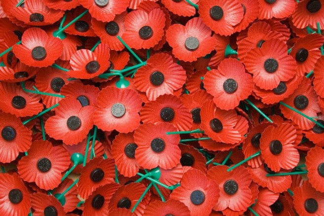 When Do We Start Wearing A Poppy For Remembrance 2020?