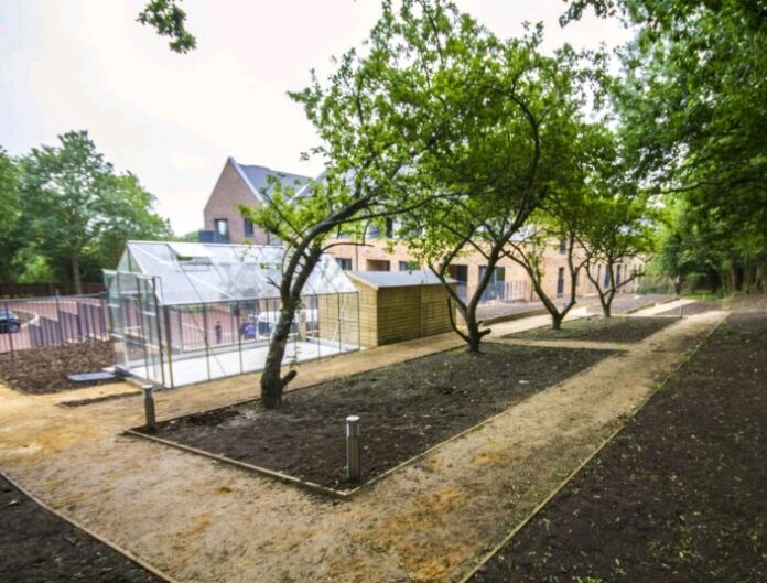 A serene garden area with a greenhouse, winding pathways, and young trees flourishes next to brick buildings, possibly nurtured by a community gardening grant.