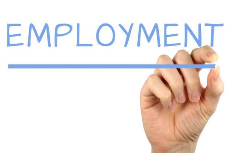 A hand holding a blue marker emphasizes the word "EMPLOYMENT," illustrating a deep understanding of employment outcomes against a crisp white background.