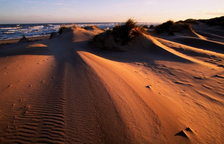 Sunlit sand dunes with rippled textures stretch toward the ocean under a blue sky at sunset, as waves tackle the shore in the distance.