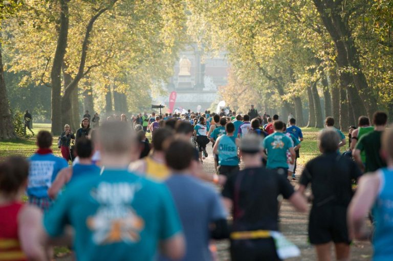 A group of runners, including seasoned veterans, are picking up the pace as they race along a tree-lined path on a sunny day.