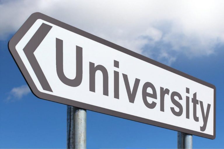 A street sign with an arrow pointing left and the word "University" stands proudly against a blue sky background, symbolizing the support universities provide in guiding future forces of change.