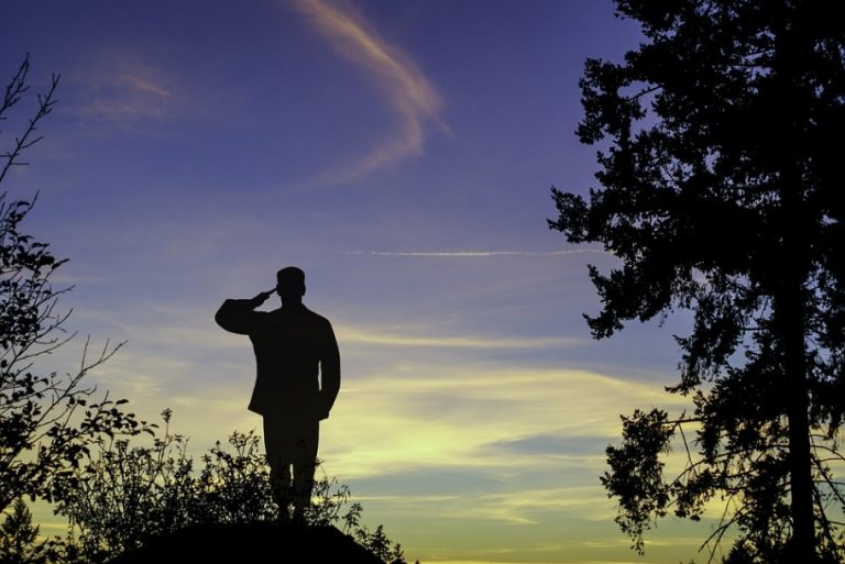 Silhouette of a person giving a Big Salute against a sunset sky, surrounded by open spaces of trees and foliage.