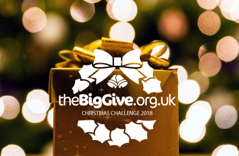 The Big Give Christmas Challenge