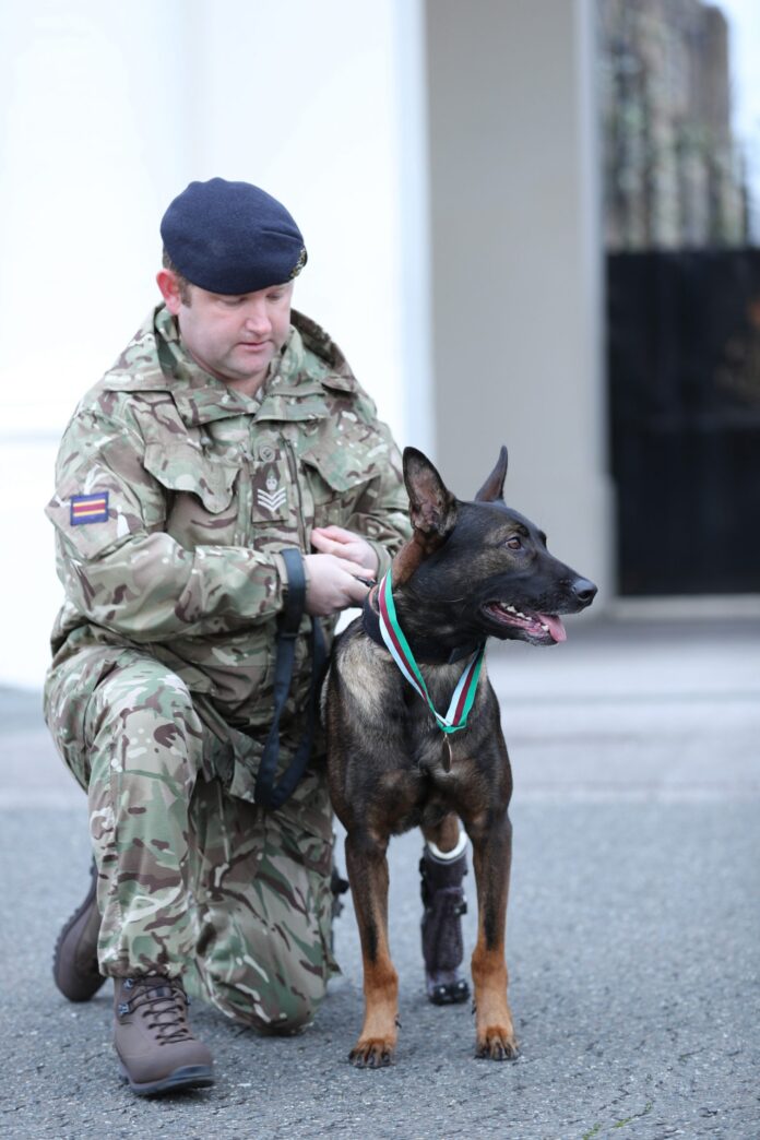 A uniformed veteran kneels beside a service dog wearing a medal around its neck. The dog, a true pathfinder with a prosthetic front leg, symbolizes resilience and the bond between soldiers and their loyal companions.