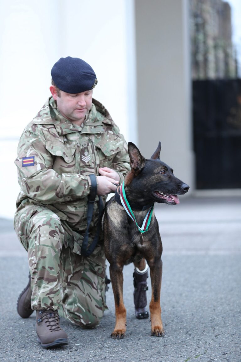 A uniformed veteran kneels beside a service dog wearing a medal around its neck. The dog, a true pathfinder with a prosthetic front leg, symbolizes resilience and the bond between soldiers and their loyal companions.