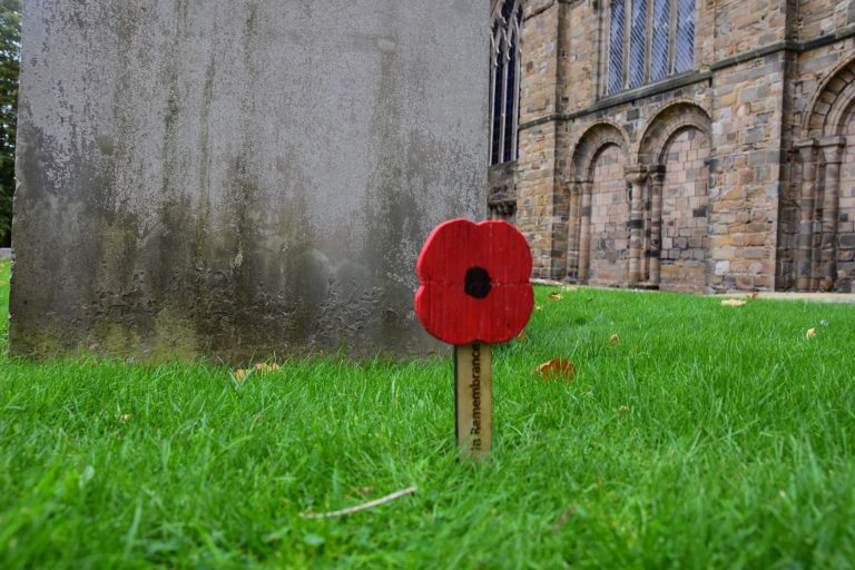 Veterans Create Over 100 Matchstick Poppies To Mark Remembrance Day