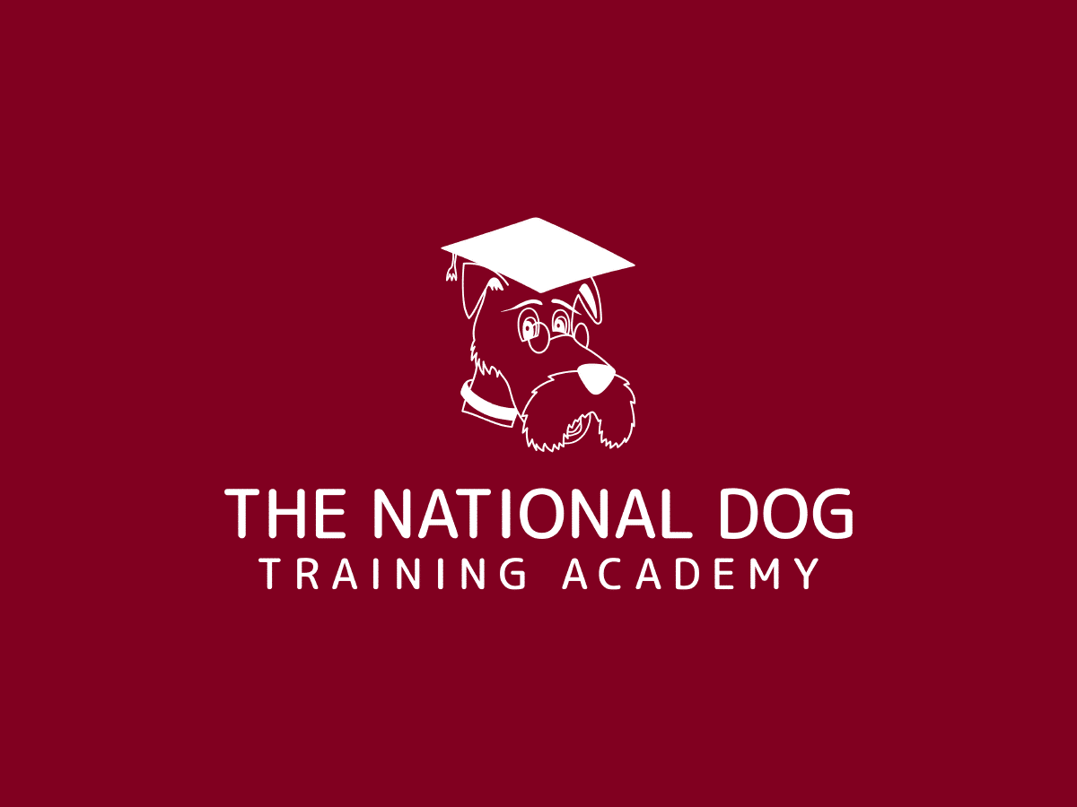 Armed Forces Expo Oxford – How To Become A Dog Trainer – Easy Steps With The National Dog Training Academy