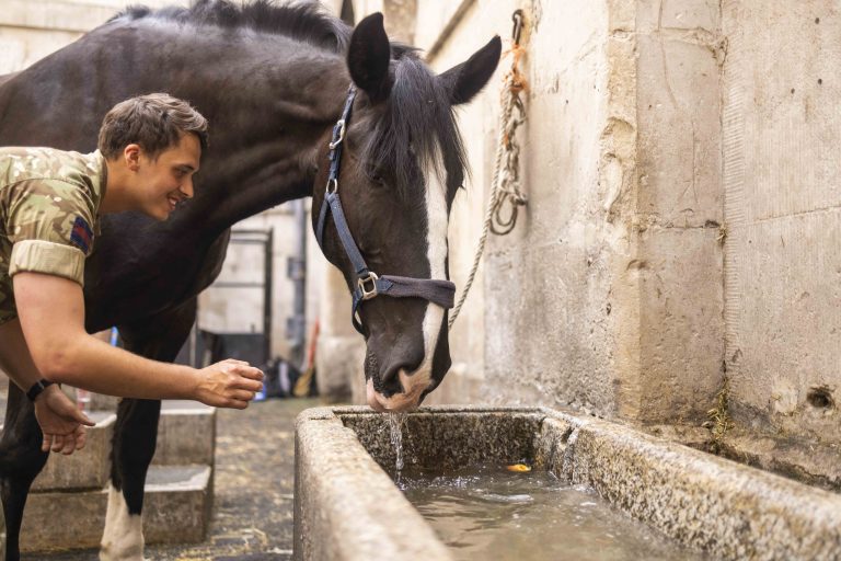The Household Cavalry – Handling Horses In The Heat