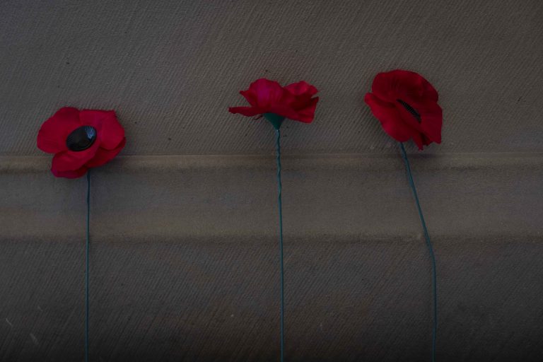UK Armed Forces Around The World Pause To Mark Remembrance