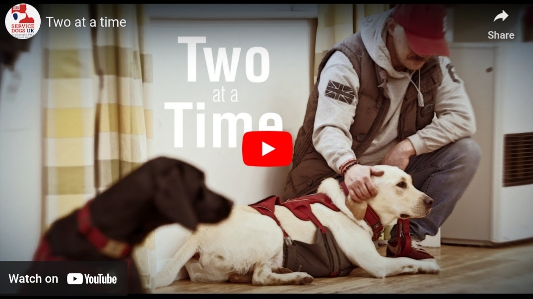 Service Dogs UK – “Two at a Time”