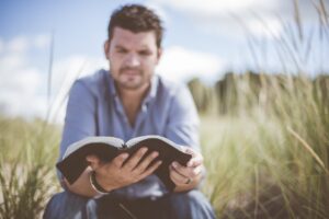 book, grass, knowledge