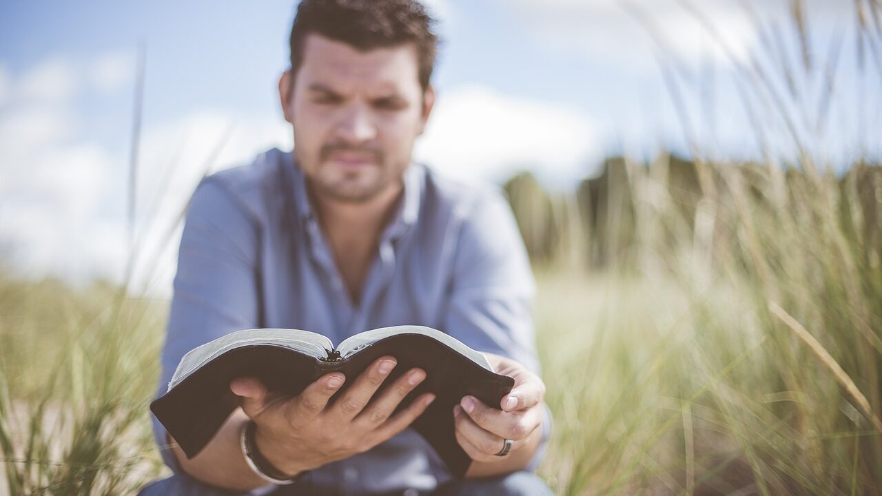 Photo by Pexels book, grass, knowledge