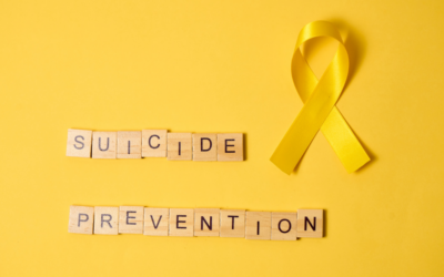 Armed Forces Suicide Prevention Strategy and Action Plan: 2024