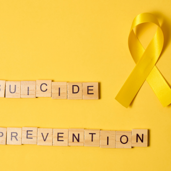 Armed Forces Suicide Prevention Strategy and Action Plan: 2024