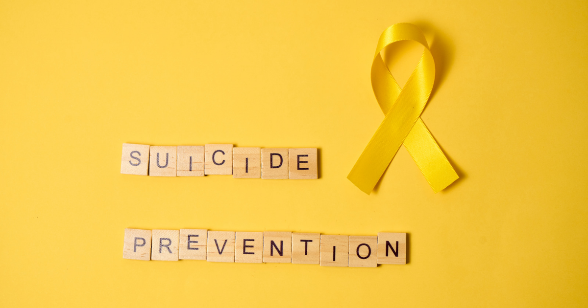 Armed Forces Suicide Prevention Strategy and Action Plan: 2024