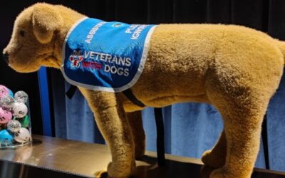 Veterans With Dogs takes centre stage at The National Lottery’s 30th Anniversary Celebration