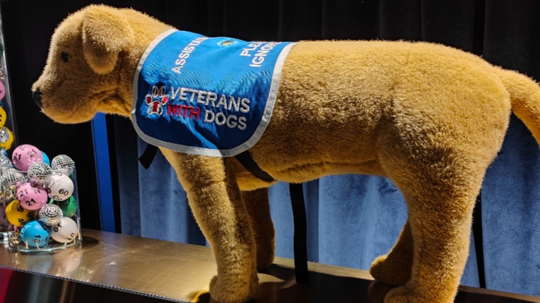 Veterans With Dogs takes centre stage at The National Lottery’s 30th Anniversary Celebration