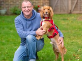 A man in a blue hoodie squats on grass beside a service dog wearing a red harness, symbolizing hope for veterans with PTSD. The background features a wooden fence and plants, reminiscent of tranquil scenes supported by Service Dogs UK.