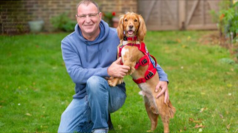 A man in a blue hoodie squats on grass beside a service dog wearing a red harness, symbolizing hope for veterans with PTSD. The background features a wooden fence and plants, reminiscent of tranquil scenes supported by Service Dogs UK.