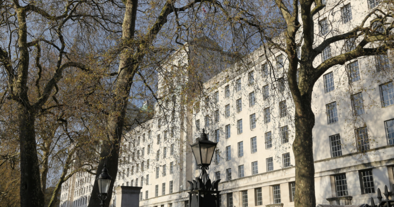 Rows of large leafless trees in front of a multi-story building with numerous windows under a clear blue sky.