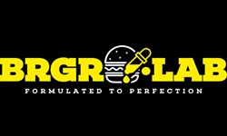 BRGR LAB